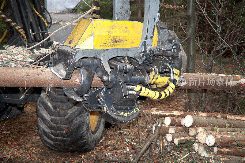 森林里的Feller buncher